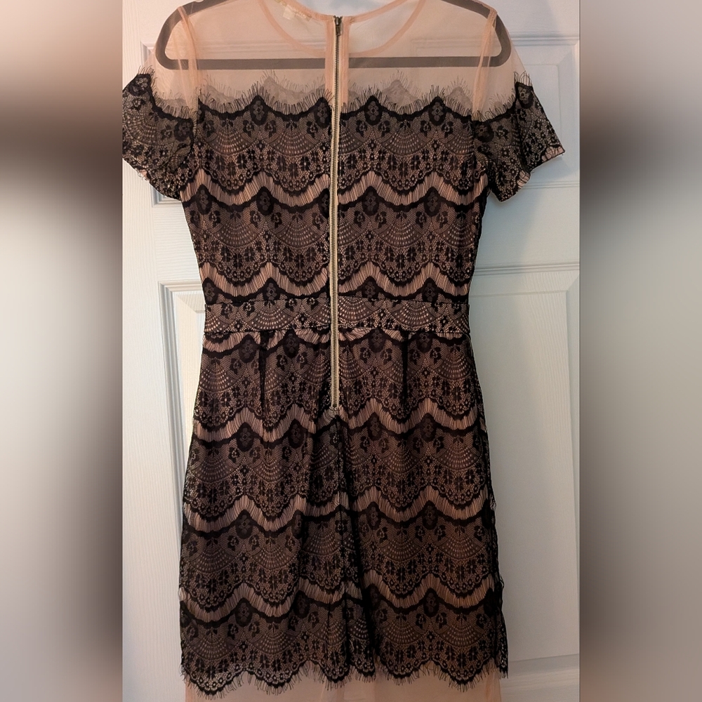 Gianni Bini Black Lace Special Occasion Dress - Picture 3 of 6
